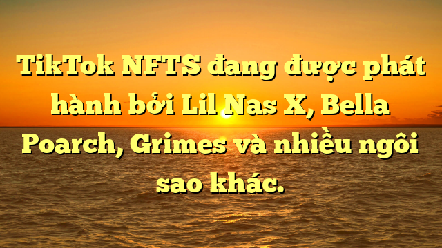 TikTok NFTS đang được phát hành bởi Lil Nas X, Bella Poarch, Grimes và nhiều ngôi sao khác.